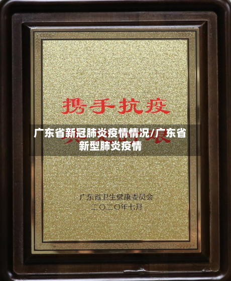 广东省新冠肺炎疫情情况/广东省新型肺炎疫情-第2张图片