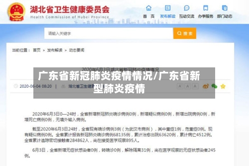 广东省新冠肺炎疫情情况/广东省新型肺炎疫情-第3张图片