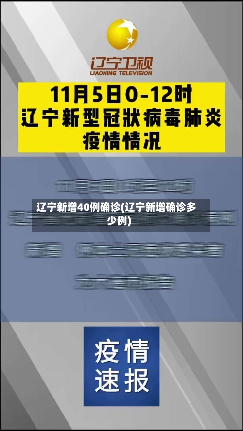 辽宁新增40例确诊(辽宁新增确诊多少例)