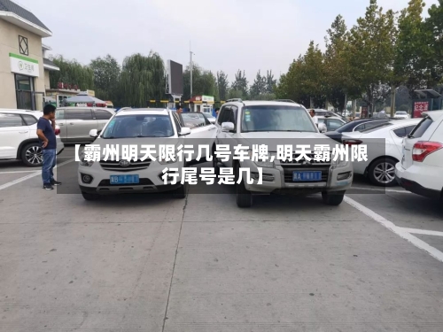 【霸州明天限行几号车牌,明天霸州限行尾号是几】-第2张图片
