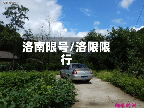 洛南限号/洛限限行