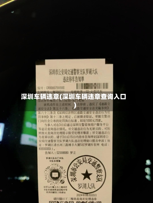 深圳车辆违章(深圳车辆违章查询入口)
