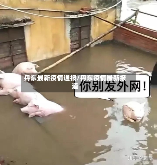 丹东最新疫情通报/丹东疫情最新报道-第2张图片