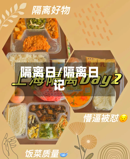 隔离日/隔离日记-第2张图片
