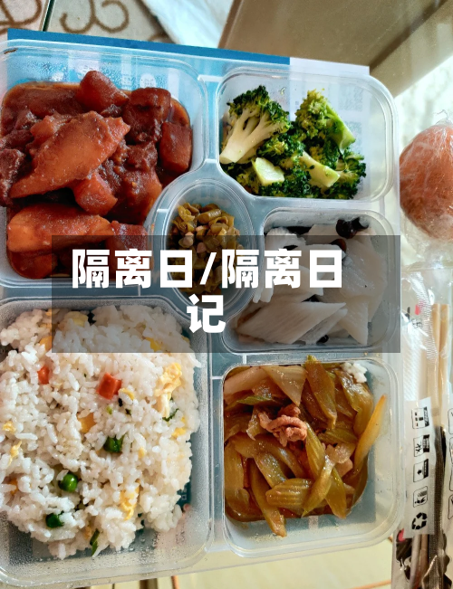 隔离日/隔离日记