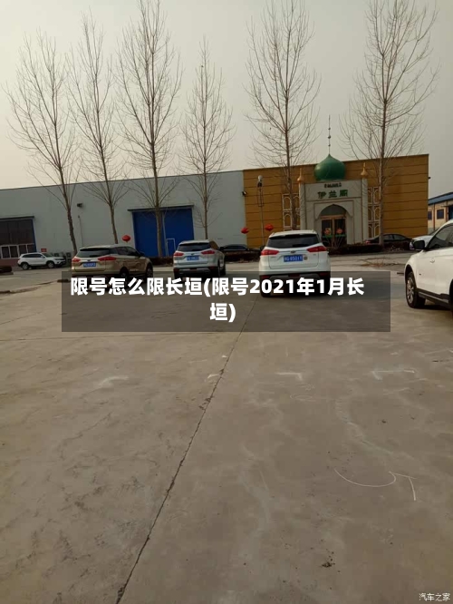 限号怎么限长垣(限号2021年1月长垣)-第2张图片