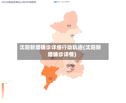沈阳新增确诊详细行动轨迹(沈阳新增确诊详情)-第2张图片