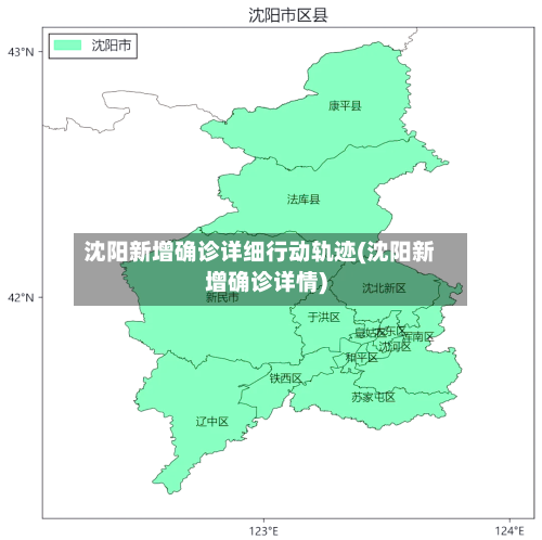 沈阳新增确诊详细行动轨迹(沈阳新增确诊详情)