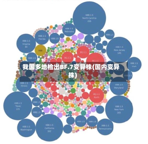 我国多地检出BF.7变异株(国内变异株)-第2张图片
