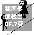我国多地检出BF.7变异株(国内变异株)