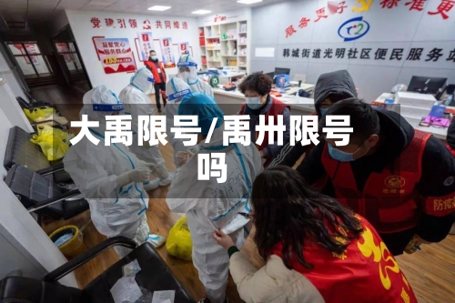 大禹限号/禹卅限号吗