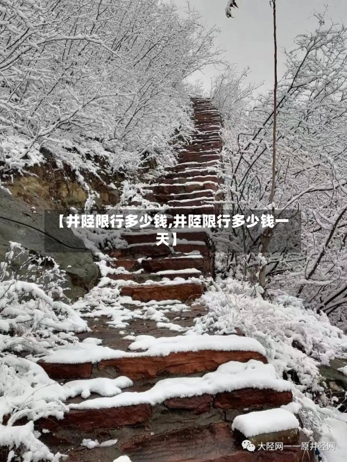 【井陉限行多少钱,井陉限行多少钱一天】