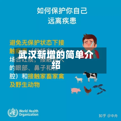 武汉新增的简单介绍-第2张图片