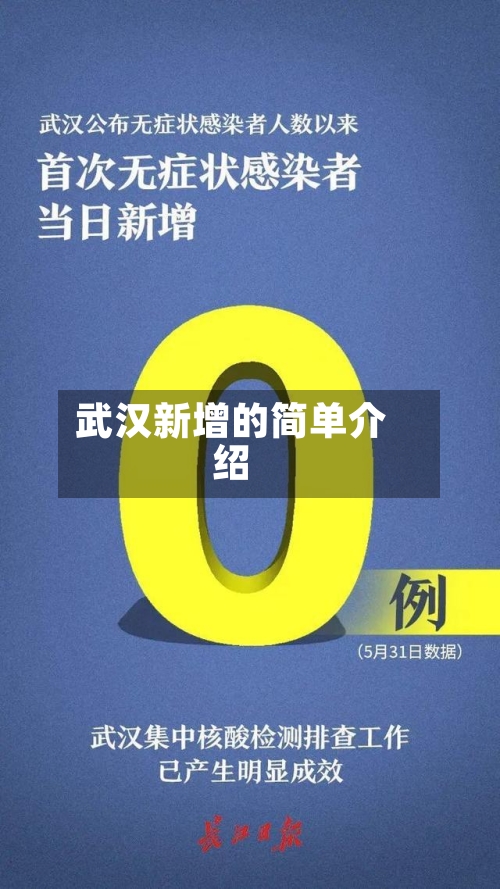 武汉新增的简单介绍