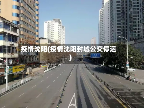 疫情沈阳(疫情沈阳封城公交停运)-第2张图片