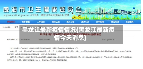 黑龙江最新疫情情况(黑龙江最新疫情今天消息)