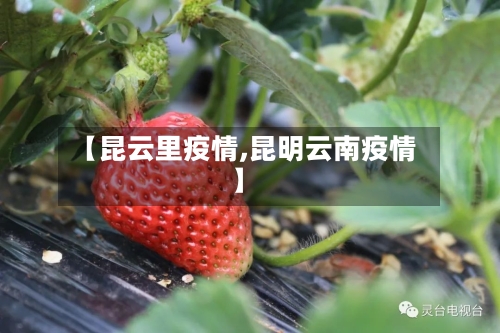 【昆云里疫情,昆明云南疫情】