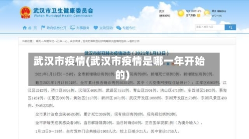 武汉市疫情(武汉市疫情是哪一年开始的)