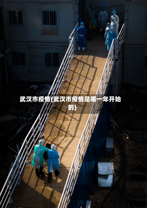 武汉市疫情(武汉市疫情是哪一年开始的)-第3张图片