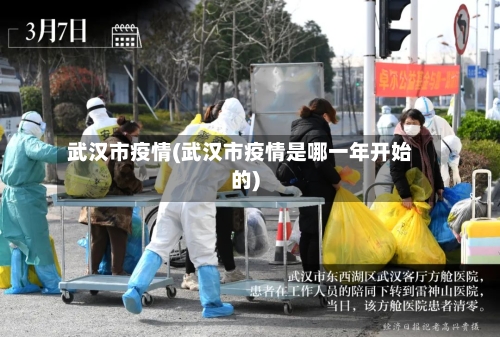 武汉市疫情(武汉市疫情是哪一年开始的)-第2张图片