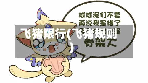 飞猪限行(飞猪规则)