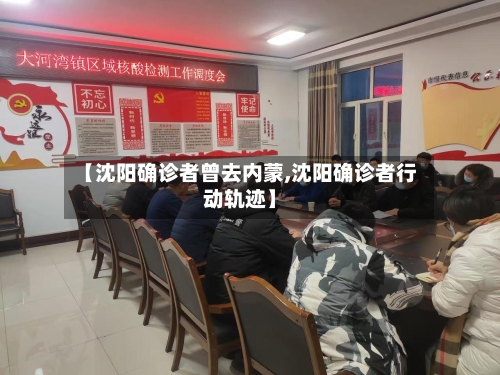 【沈阳确诊者曾去内蒙,沈阳确诊者行动轨迹】