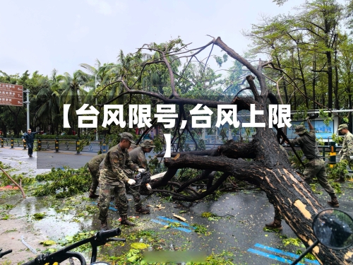 【台风限号,台风上限】