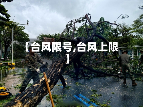 【台风限号,台风上限】-第2张图片