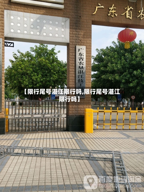 【限行尾号湛江限行吗,限行尾号湛江限行吗】