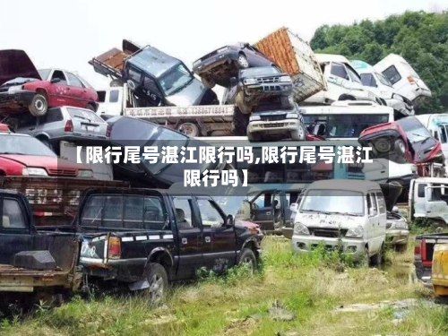 【限行尾号湛江限行吗,限行尾号湛江限行吗】-第3张图片