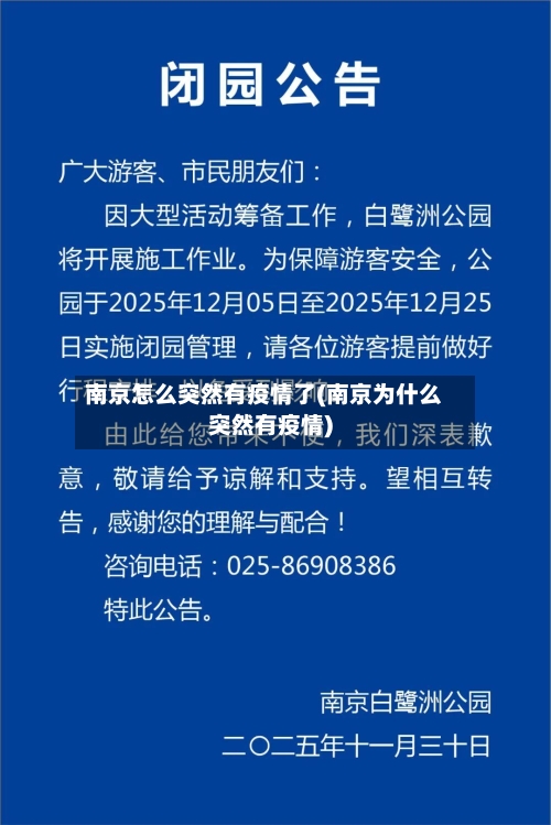 南京怎么突然有疫情了(南京为什么突然有疫情)-第3张图片
