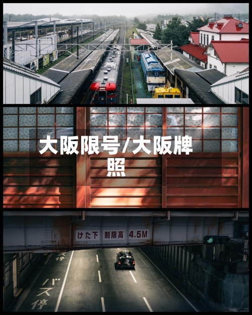 大阪限号/大阪牌照