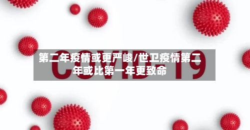 第二年疫情或更严峻/世卫疫情第二年或比第一年更致命-第2张图片