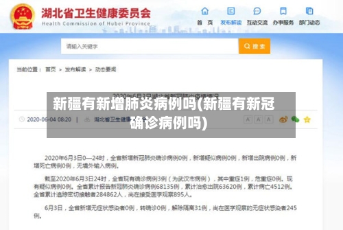 新疆有新增肺炎病例吗(新疆有新冠确诊病例吗)-第2张图片