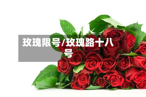 玫瑰限号/玫瑰路十八号