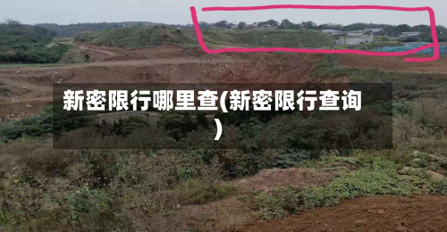 新密限行哪里查(新密限行查询)