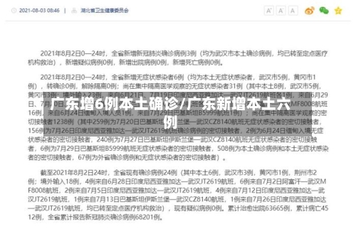 广东增6例本土确诊/广东新增本土六例