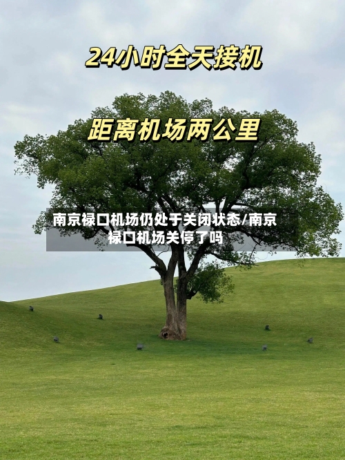 南京禄口机场仍处于关闭状态/南京禄口机场关停了吗-第2张图片
