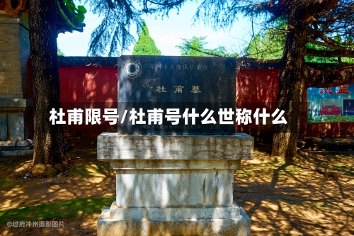 杜甫限号/杜甫号什么世称什么-第2张图片