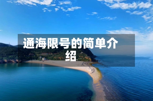 通海限号的简单介绍-第3张图片