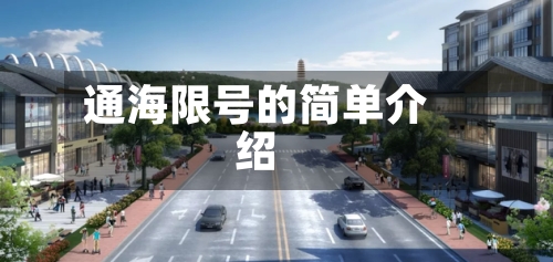 通海限号的简单介绍-第2张图片