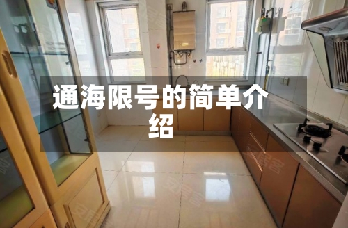 通海限号的简单介绍
