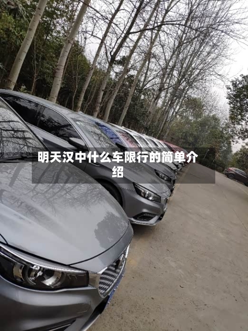 明天汉中什么车限行的简单介绍