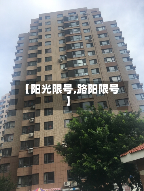 【阳光限号,路阳限号】-第2张图片