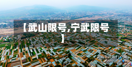 【武山限号,宁武限号】-第3张图片