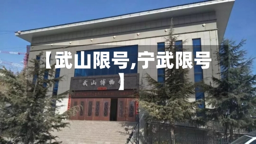 【武山限号,宁武限号】