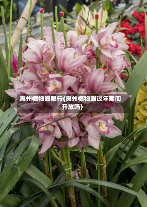 惠州植物园限行(惠州植物园过年期间开放吗)-第2张图片