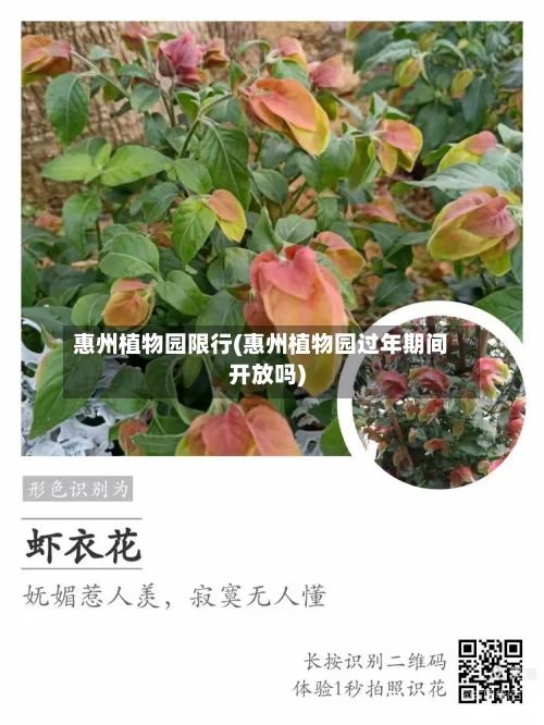 惠州植物园限行(惠州植物园过年期间开放吗)