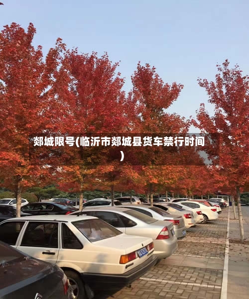 郯城限号(临沂市郯城县货车禁行时间)-第2张图片
