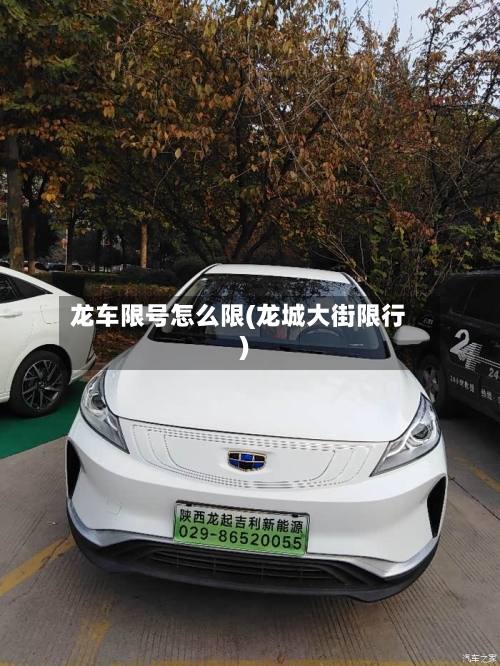 龙车限号怎么限(龙城大街限行)